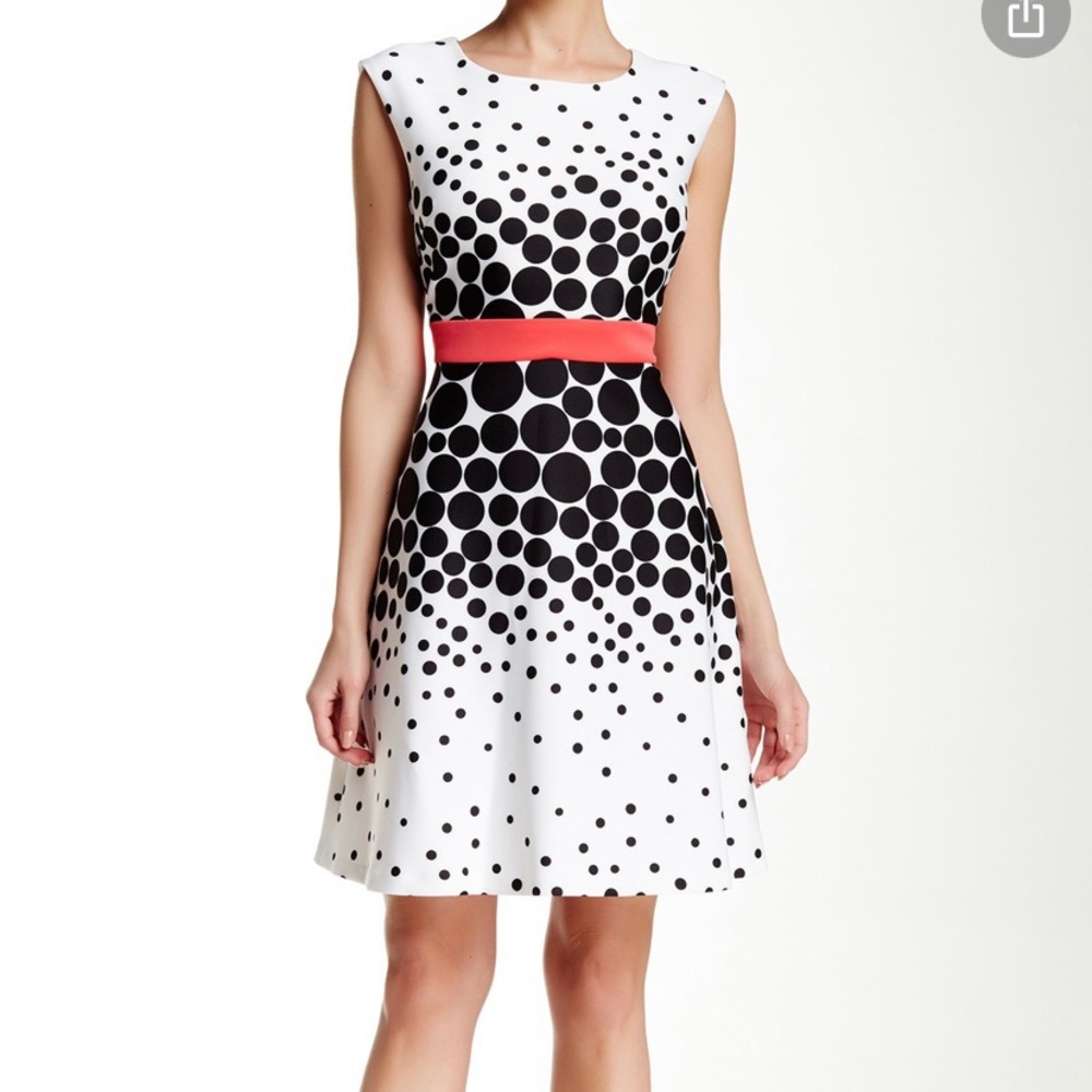 Studio One New York Polka Dot Dress Size 12